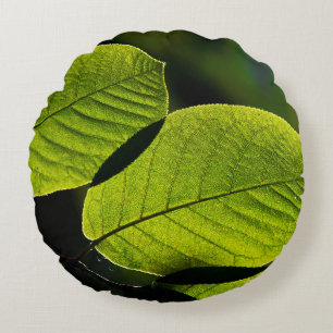 Coussins Ronds Twig feuilles vertes veines feuillage