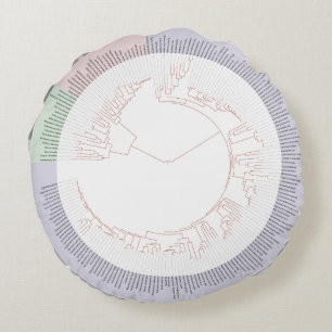 Coussins Ronds Un arbre phylogénétique de la vie Graphique Coussi