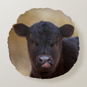 Coussins Ronds Veau noir d'Angus