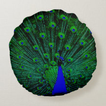 VERT BLEU JAUNE JAUNE ÉTONNANTE PEACOCK