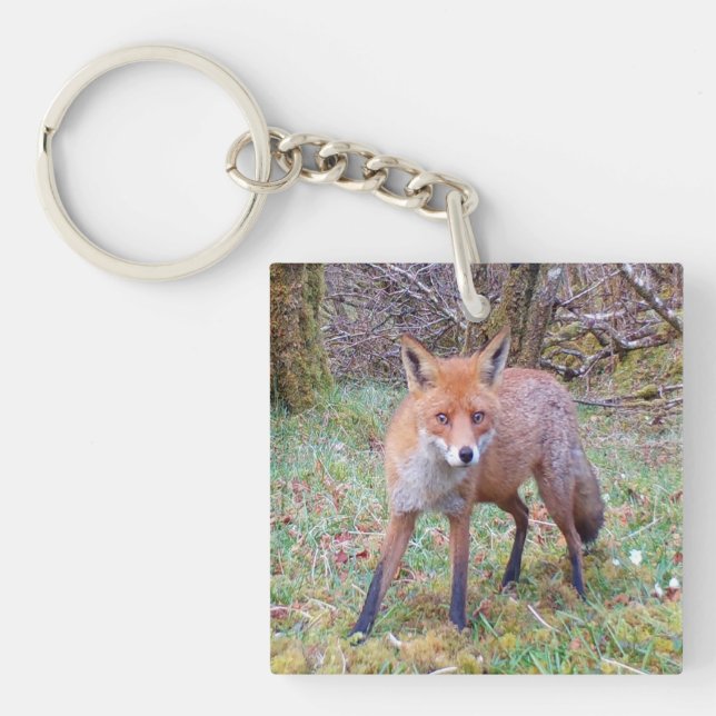 Couteau Renard rouge (Devant)