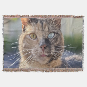 Couverture Ajouter une Personnaliser photo de chat