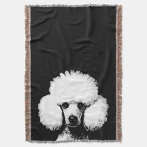Amusant Retro Chic Pop Art Poodle