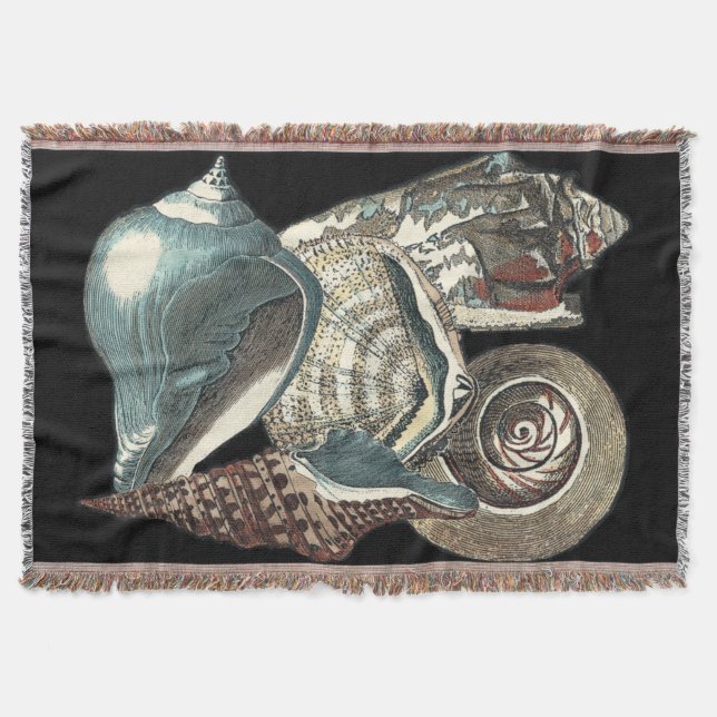 Couverture Anthologie des coquillages (Devant)