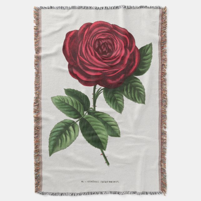 Couverture Antique Rose Lithograph, François-Frédéric Grobon (devant Vertical)