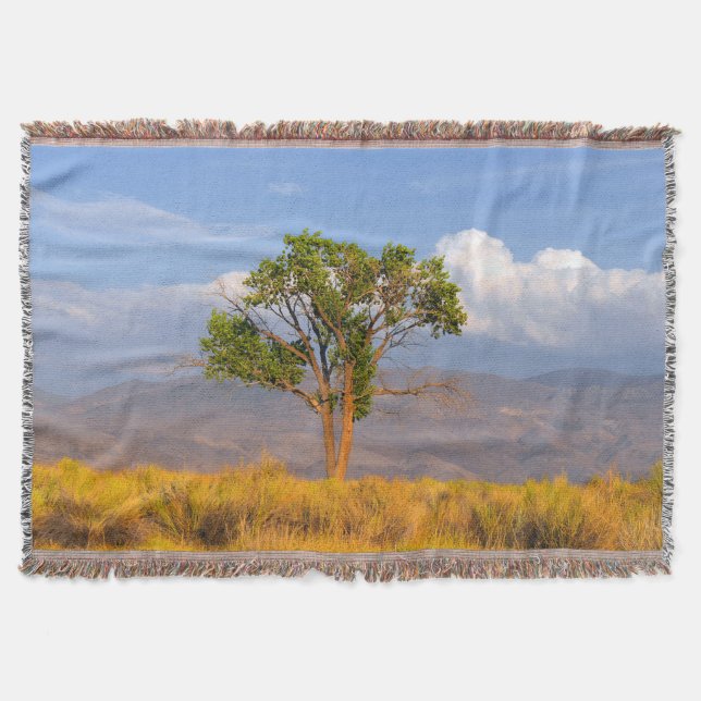 Couverture Arbre (Devant)