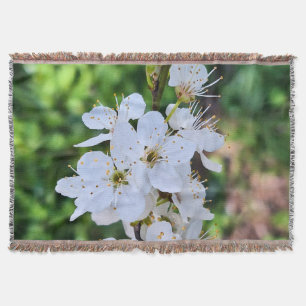Couverture Arbre en Fleurs au Printemps Roumanie – Photograph