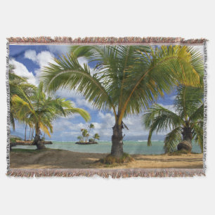 Couverture Arbres tropicaux