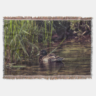 Couverture Au bord de l'étang