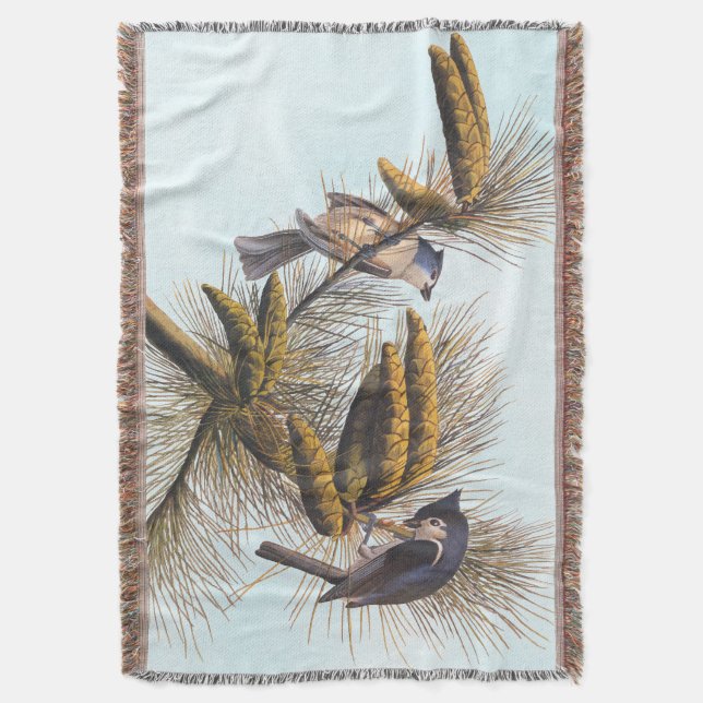 Couverture Audubon Crested Titmouse Birds in Pine Tree (devant Vertical)