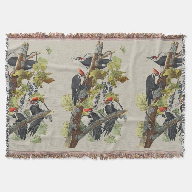 Couverture Audubon Pileated Woodpecker Bird Painting (Devant)