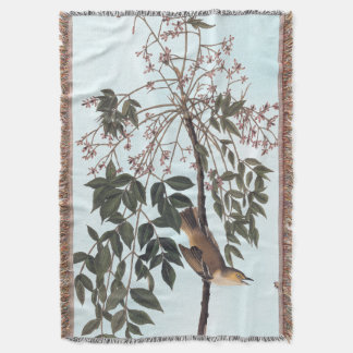 Couverture Audubon White Eyed Vireo Song Bird Art