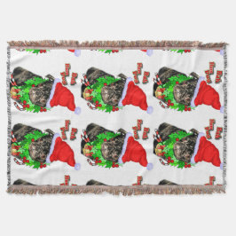 Couverture Bah Hum Carlin Noël