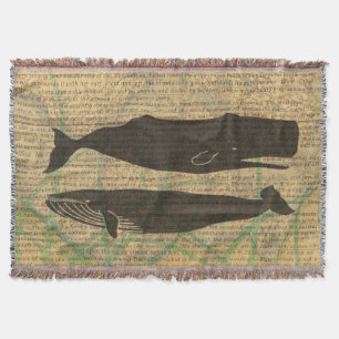 Couverture Baleine antique Vie marine