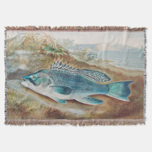 Couverture Bar commun par S.A. Kilbourne, Poisson vintage