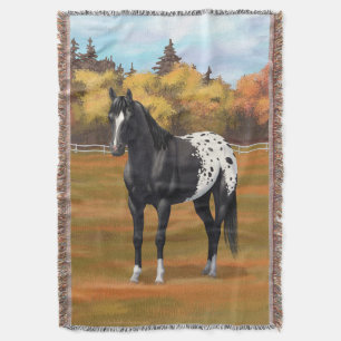 Couverture Beau Appaloosa Noir Quarter Horse Stallion
