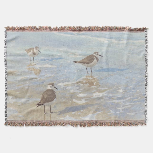 Couverture Bécasseaux de l'art côtier sur la plage  (Devant)