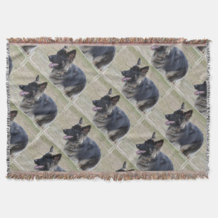 Couverture Berger mignon de Shiloh