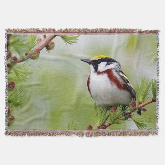 Couverture BIRD yellow_blanket (Devant)