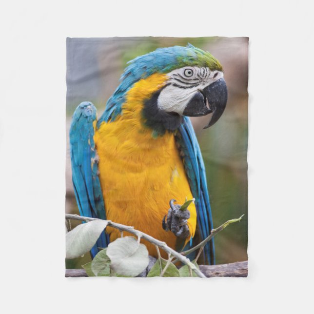 Couverture bleue et jaune de Sherpa d'ara (Devant)