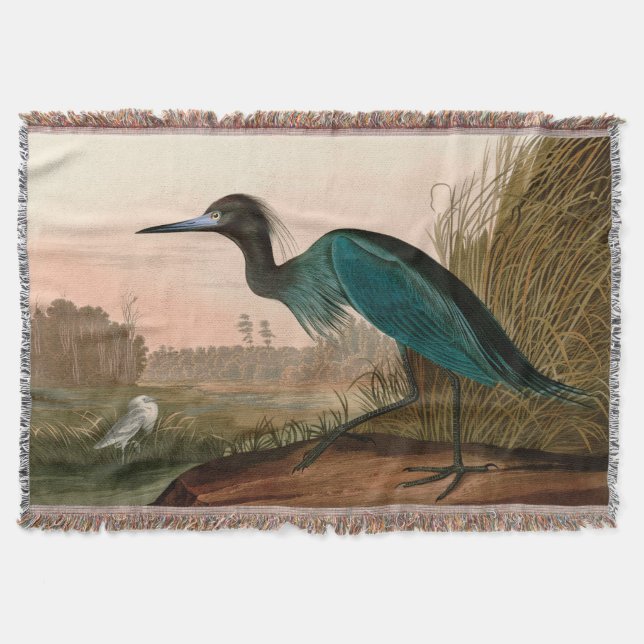 Couverture Blue Crane or Heron Birds of America Audubon Print (Devant)