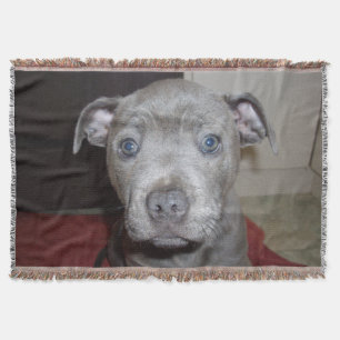 Couverture Blue Staffordshire Bull Terrier Puppy