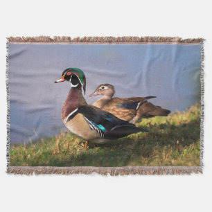 Couverture Bord de lac, Canard branchu