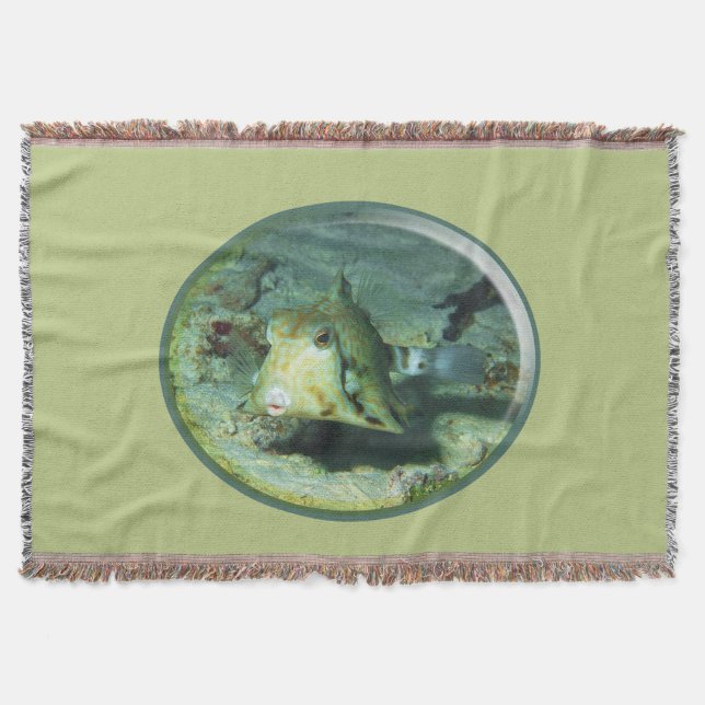 Couverture Boxfish - tellement mignon ! Conception photograph (Devant)