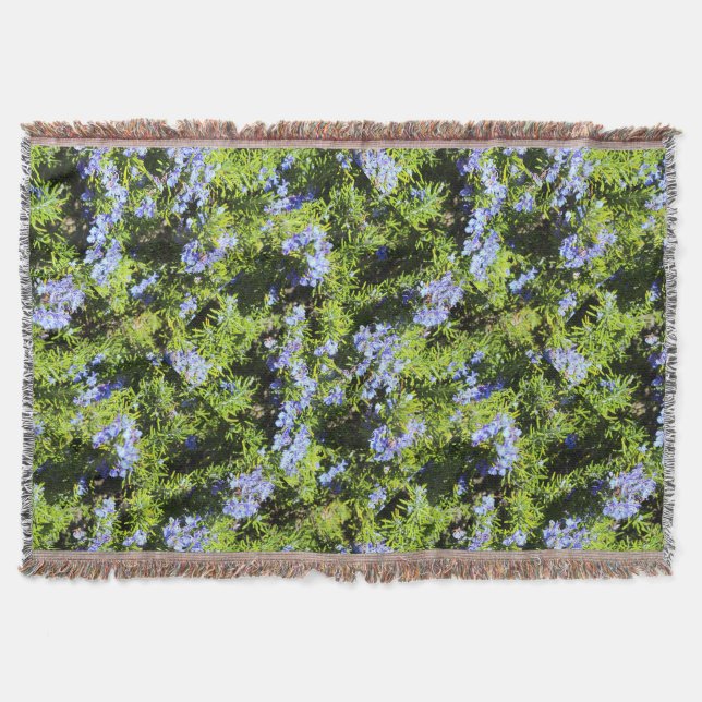 Couverture buisson romarin à fleurs (Devant)