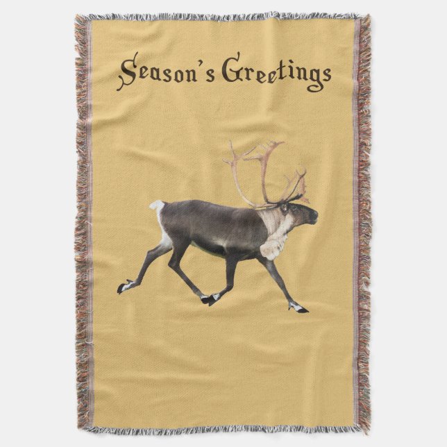 Couverture Bull Caribou (devant Vertical)