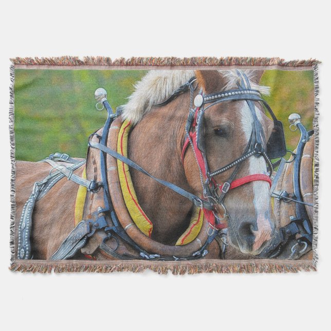 Couverture Cadeau photo Clydesdale Draft Horse Equine (Devant)