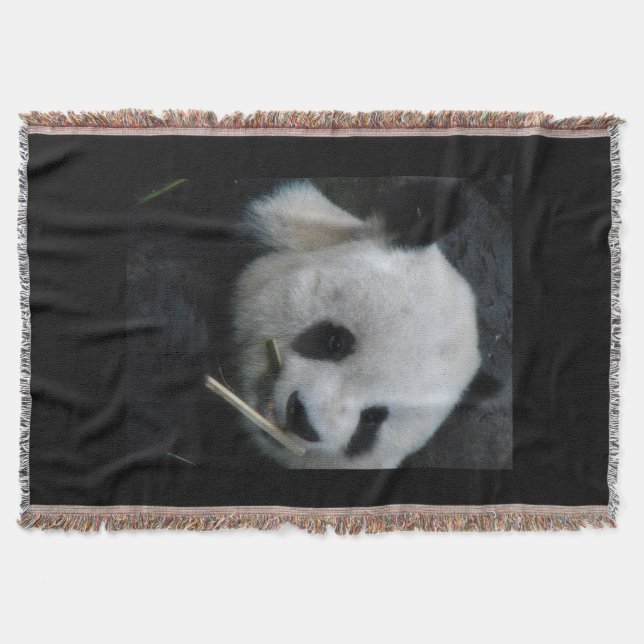 Couverture Câlins de Panda (Devant)