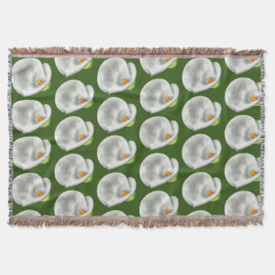 Couverture Calla Lilly