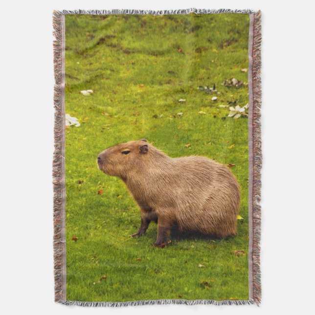 Couverture Capybara (devant Vertical)