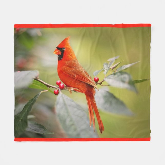 Couverture cardinale d'ouatine d'oiseau (Devant (Horizontal))