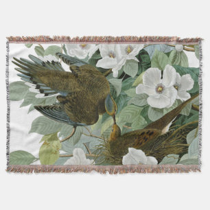 Couverture Carolina Pigeon Audubon Morning Dove