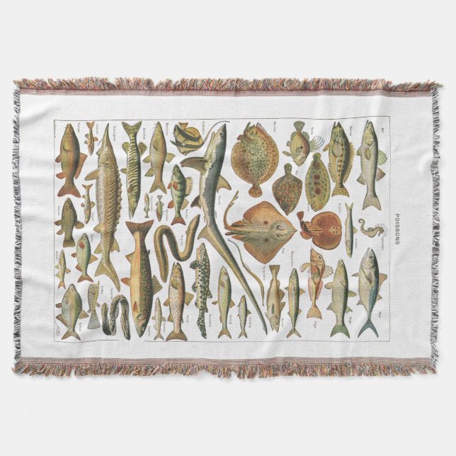 Couverture Carte de poisson esthétique de biologie marine (Devant)