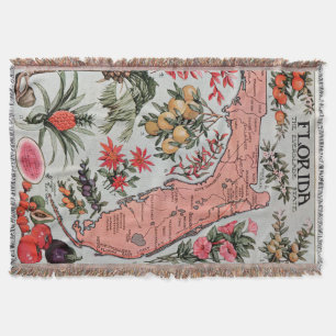 Couverture Carte vintage de la Floride (1917)