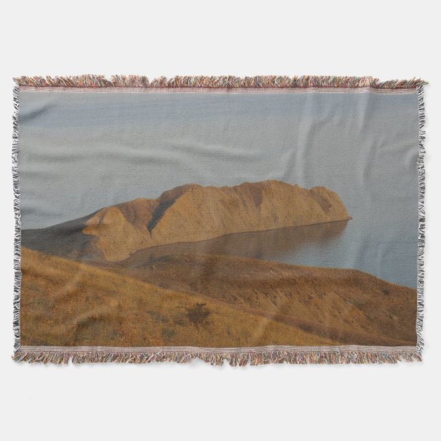 Couverture Chameleon (Devant)