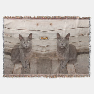 Couverture Chat gris