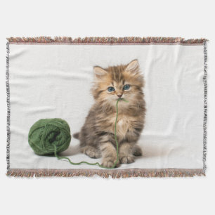 Couverture Chaton avec le fil vert