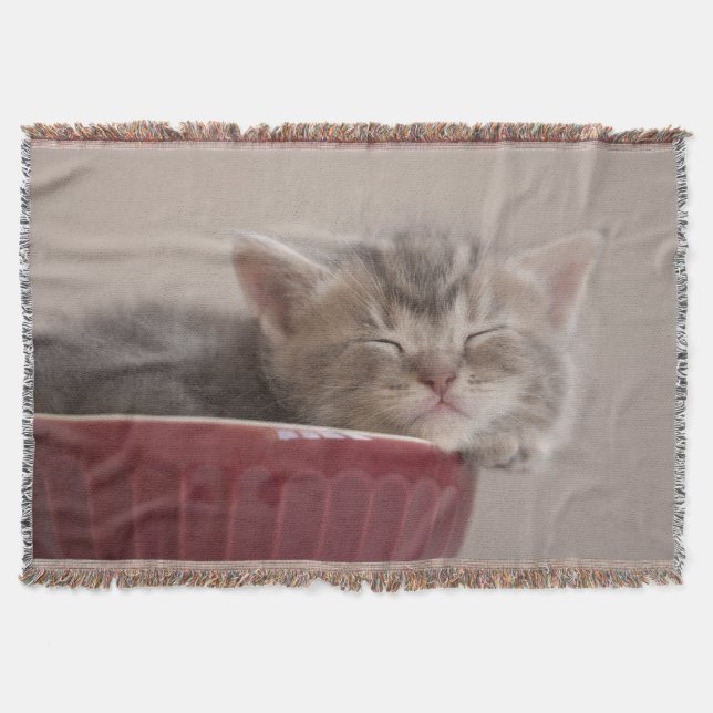 Couverture Chaton dormant dans une cuvette (Devant)