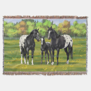 Couverture Chevaux Appaloosa Noir Dans Les Pâturages D'Été