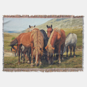 Couverture Chevaux sauvages Vie Nature Scène
