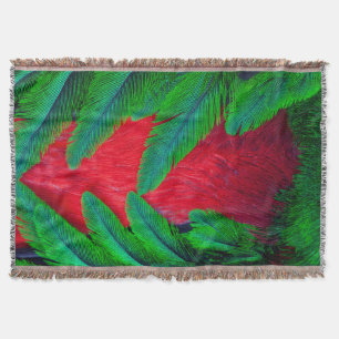 Couverture Conception de plume de Quetzal resplendissant