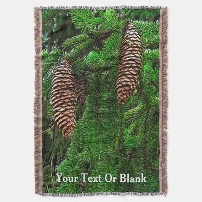 Couverture Cônes Et Aiguilles (devant Vertical)