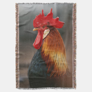 Couverture Coq domestique de basse-cour