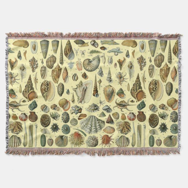 Couverture Coquillages de coquillages Mollusk Clam Élégant Ar (Devant)