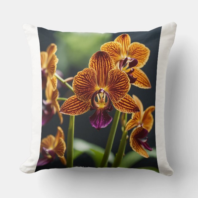 Couverture Coussin de conception (Recto)