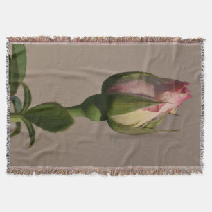 Couverture Couverture/rose rouge bourgeon